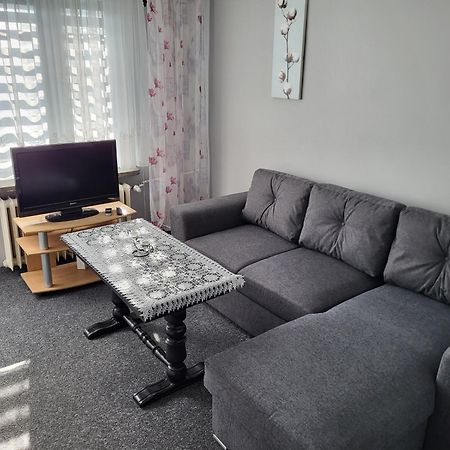 Apartament Sosnowy Z Parkingiem ทอรูน ภายนอก รูปภาพ